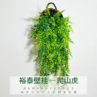 在飛比找樂天市場購物網優惠-仿真植物壁掛波斯葉爬山虎藤條假花藤蔓家居商店裝飾塑料花綠