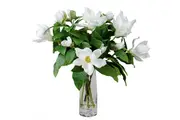 60cm Faux White Magnolia Liliflora in Glass Vase Artificial Plant Flower Tree Fake