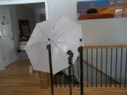 Neewer lighting tripods umbrellas reflectors back drops nice set up