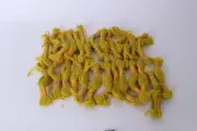 DMC Floralia Divisible Needlepoint 100% Wool 26 Skeins Yellow # 7679