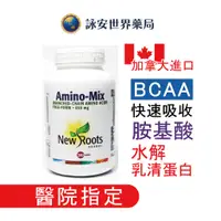 在飛比找蝦皮商城優惠-加拿大 安寶錠BCAA α-乳清蛋白水解物(240粒) Am