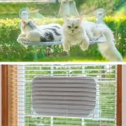 PETSWOL Foldable Cordless Cat Window Perch For Wall With Strong Suction Cups gre