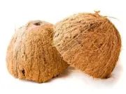 COCONUT SHELLS