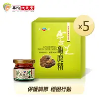 在飛比找ETMall東森購物網優惠-華陀天官 靈芝龜鹿精(30g/瓶;9瓶/盒)5盒組