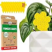 [Super Ninja] Fungus Gnat Trap - 10 Pack, Effective Fungus Gnat Killer for Indoor Plants, Yellow Sticky Fly Traps, Non-Toxic & Nature-Friendly Plant Fly Sticker, Suitable for Fruit Flies, Up to 3 Months