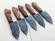 CUSTOM HAND MADE DAMASCUS STEEL FIXED BLADE SKINER KNIFE 990(lot of 5).