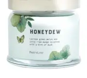 Partylite Green Fruity HONEYDEW SIGNATURE 3-wick JAR CANDLE