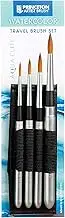 Princeton Aqua Elite NextGen Artist Travel Brush Set, Series 4850 Synthetic Kolinsky Sable for Watercolor, Includes Four Round Brushes Sizes 4, 8, 6 and 10