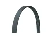 Main Drive Multi Rib Belt For 2016-2017 Jaguar XF 3.0L V6 RM697QZ (for: Jaguar)