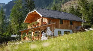 Almchalet Pollatal