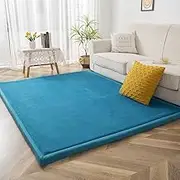 Coral Velvet Rug for Bedroom Dormitory Yoga,Home Decor for Living Room,Educational Classroom Nursery Bedroom Crawling Mat Non-Slip Rug 2cm-A- 100 * 220cm