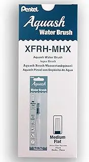 Pentel Arts Aquash Water Brush Flat Tip, Box of 10 Brushes (XFRH-MH)