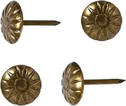 GANAZONO 100Pcs Retro Decorative Thumbtacks Mum Thumbtacks for Sofa Furniture Upholstery Material Brass Color for Home Decor and DIY Projects