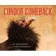 Condor Comeback