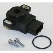 RAE Throttle Position Sensor - TP095