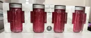 ALDI Crofton Cabana Pink Cactus Sipper Set Of 4