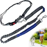 Zenify Hands Free Dog Lead for Running, Walking, Hiking, Canicross Dual Handle Comfortable Waist Belt Leash Band Reflective Stitching Adjustable Bungee Length Extendable 125cm - 190cm (Grey/Blue)