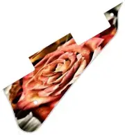 Pickguard Pick Guard Compatible with Gibson Les Paul Guitar Rose 1