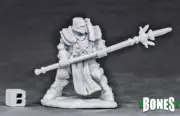 Crusader Defender 77554, Reaper Miniatures