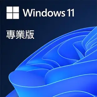 ESD-微軟 Microsoft Win11 Pro 專業下載版(FQC-10572)