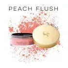 BN PEACH FLUSH blush Translucent Loose Powder SeneGence Vegan (RRP $73)