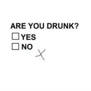 Are you drunk # 10 - 8 x 10 Tee Shirt Iron On Transfer