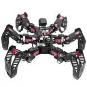 18DOF Hexapod Robot Spider Robot 2DOF PTZ with Main Board for Pi 4B/4G Finished