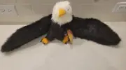 Folkmanis Bald EAGLE Plush Hand Puppet! New w/ Tags! 28" Wingspan! Folktails USA