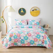Flower Power 100% Cotton Lightly Quilted Reversible Coverlet Set