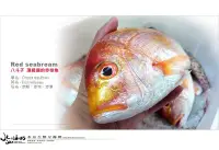 在飛比找Yahoo!奇摩拍賣優惠-【水汕海物】基隆八斗子 高級食用魚種 頂級海捕赤鯮魚、赤棕、