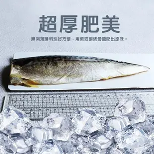 【築地一番鮮】厚片超大油質豐厚挪威薄鹽鯖魚10片免運組(210g/片)-買一送一