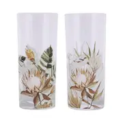 2pc Splosh Palm Cove Hi-Ball Tall Glasses Drinkware Set 6.5x15cm Glass Tumblers
