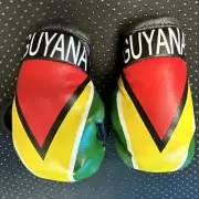 Guyana Flag Mini Gloves Boxing Car Mirror Rearview Hanging Auto Decorating