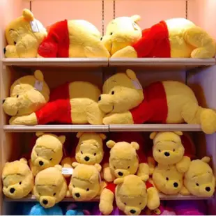 ［翹鬍子］日本 迪士尼樂園 限定  維尼 小熊維尼 維尼熊 Pooh  趴姿 玩偶 娃娃 絨毛玩具 M號