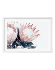 [Profile Australia] Australian Made Protea Flowers Art Print A2 in White Frame
