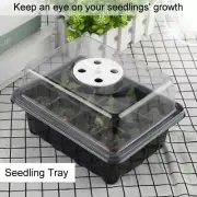 3x mini greenhouse set indoor greenhouse cultivation greenhouse plant pot AU