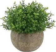 Ogrmar Mini Plastic Artificial Plants Grass in Pot/Small Artificial Faux Greenery/Mini Plants Topiary Shrubs Fake Plants for Bathroom, House Decorations (Green Leaf)