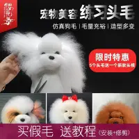 在飛比找Yahoo!奇摩拍賣優惠-寵物美容仿真狗頭毛模特泰迪犬頭部模型假狗骨架寵物學校練習專用
