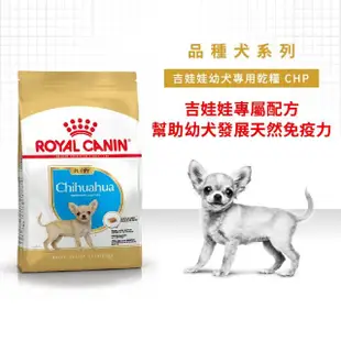 【ROYAL 法國皇家】吉娃娃幼犬專用飼料 CHP 1.5KG(狗乾糧 狗飼料)