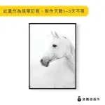 【菠蘿選畫所】白馬-42X60CM(北歐/客廳掛畫/藝廊牆/居家設計/複製畫/攝影)