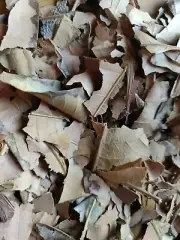HOJAS DE MANGO ORGANICAS SECAS / DRY ORGANIC MANGO LEAVES