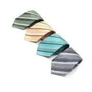 Men's Diagonal Stripe Micro Fiber Poly Woven Regular Neck Tie
