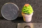 Potted Cactus Dollhouse Miniature 1:12 A1608 Garden Desert Patio Western Window