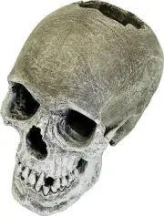 Human Skull Aquarium Ornament 5'' X 7.5'' X 6'' Null