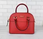 NWT RARE Kate Spade Mini Carli Grove Street Leather crossbody Purse Red Carpet