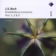 Johann Sebastian Bach - Karl Richter, Karl Richter Und Sein Kammerorchester Bran