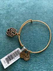 Alex and Ani bracelet Path of Life