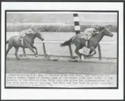 1953 - TOM FOOL winning the Wilson Mile - 10" x 8"