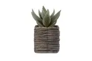 Cooper & Co. 29cm Aloe Vera Artificial Decorative Plant In Basket In Pot Set