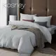 KOSNEY 星光灰 頂級素色系列吸濕排汗萊賽爾天絲加大兩用被床包組床包高度約35公分